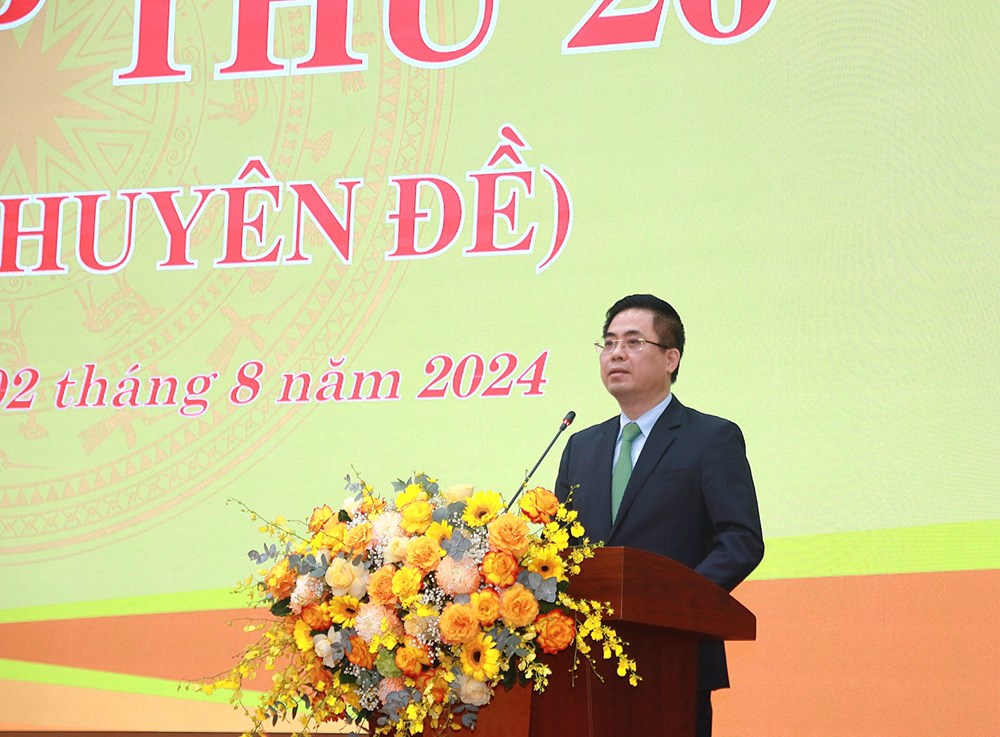 Ông Nguyễn Hoàng Giang được bầu giữ chức Chủ tịch UBND tỉnh Quảng Ngãi - ảnh 3