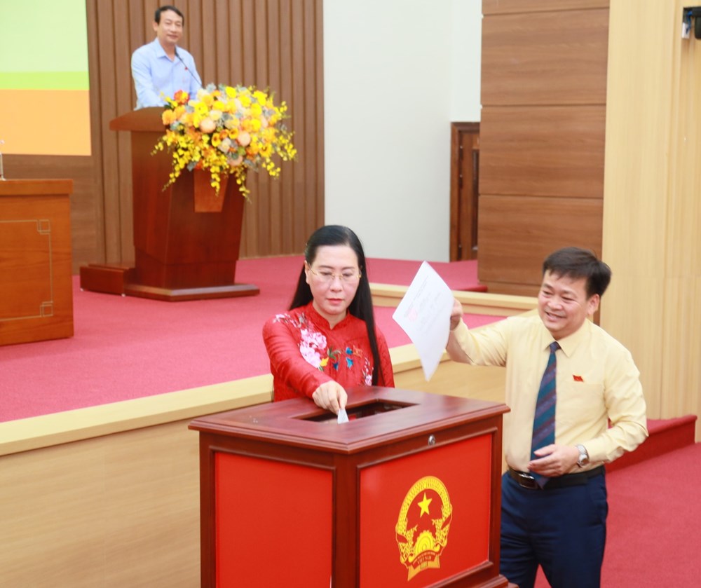Ông Nguyễn Hoàng Giang được bầu giữ chức Chủ tịch UBND tỉnh Quảng Ngãi - ảnh 1