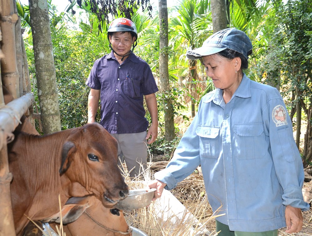 Trưởng thôn gương mẫu, năng động giúp dân thoát nghèo - ảnh 5