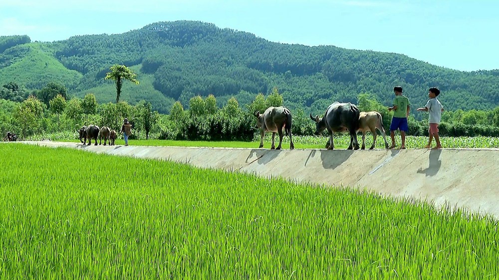 Minh Long: Phát triển kinh tế gắn với gìn giữ bản sắc văn hóa - ảnh 7