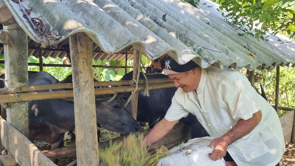 Minh Long: Phát triển kinh tế gắn với gìn giữ bản sắc văn hóa - ảnh 3