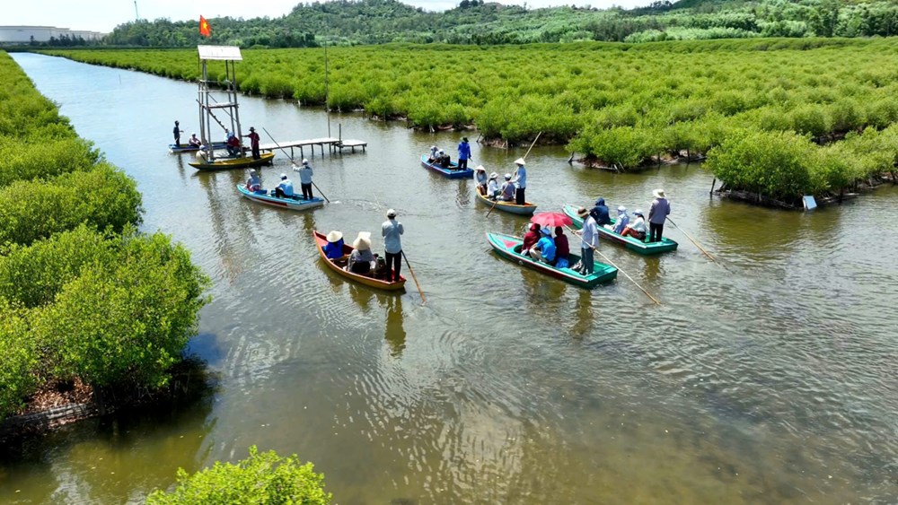 Du lịch cộng đồng, du lịch nông thôn - Kết nối thiên nhiên và văn hóa Bình Sơn - ảnh 3