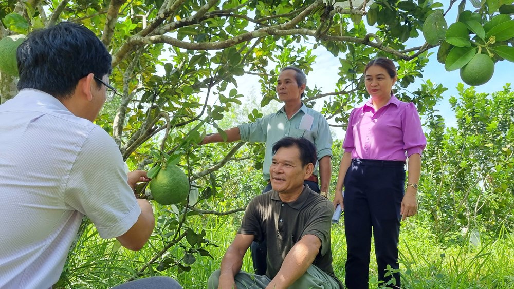 Nghĩa Hành: Giúp người dân tiếp cận thông tin để giảm nghèo - ảnh 3