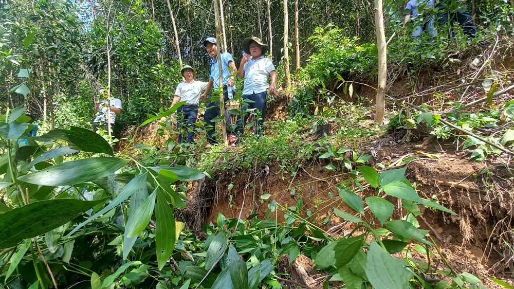 Ứng phó với sạt lở núi Mang Kà Muồng - ảnh 4