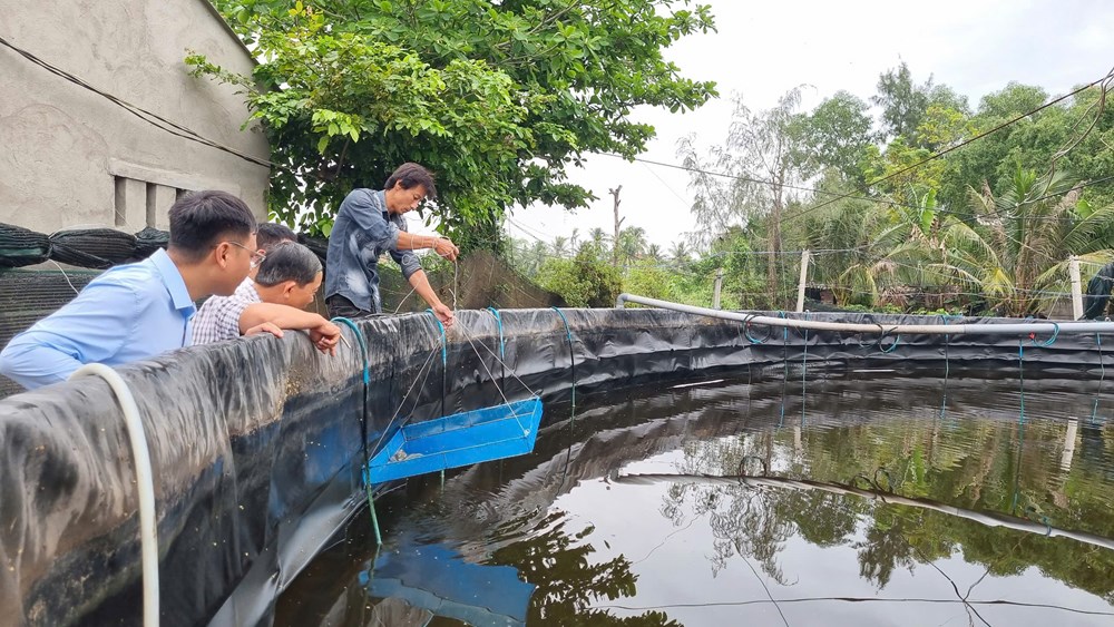 TP Quảng Ngãi: Phát triển nuôi trồng thuỷ sản góp phần chuyển dịch cơ cấu kinh tế, giải quyết việc làm, xoá đói giảm nghèo - ảnh 2