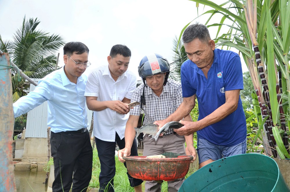 TP Quảng Ngãi: Phát triển nuôi trồng thuỷ sản góp phần chuyển dịch cơ cấu kinh tế, giải quyết việc làm, xoá đói giảm nghèo - ảnh 7