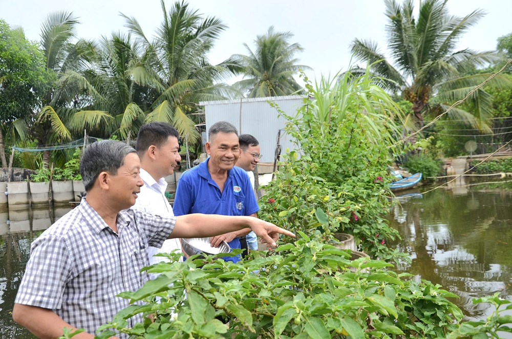 TP Quảng Ngãi: Phát triển nuôi trồng thuỷ sản góp phần chuyển dịch cơ cấu kinh tế, giải quyết việc làm, xoá đói giảm nghèo - ảnh 4