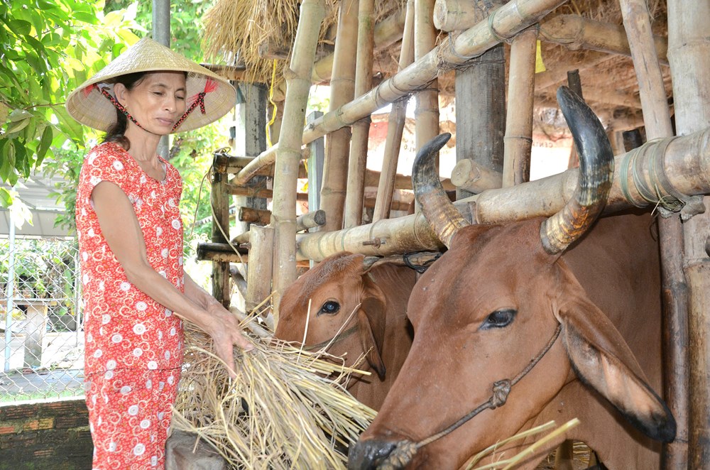 Hành Phước trao sinh kế phù hợp, giúp dân thoát nghèo bền vững - ảnh 4