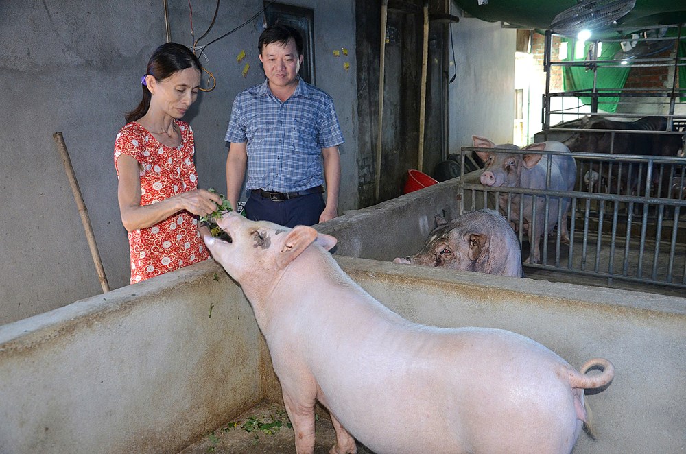 Hành Phước trao sinh kế phù hợp, giúp dân thoát nghèo bền vững - ảnh 5