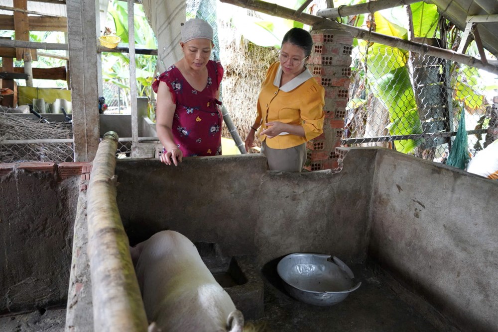 Mô hình “Ngân hàng heo giống” mang lại hiệu quả cho người nghèo ở Hành Phước - ảnh 4