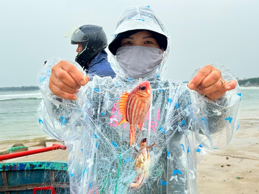 Cấm khai thác thủy sản có thời hạn vùng biển ven bờ - ảnh 2