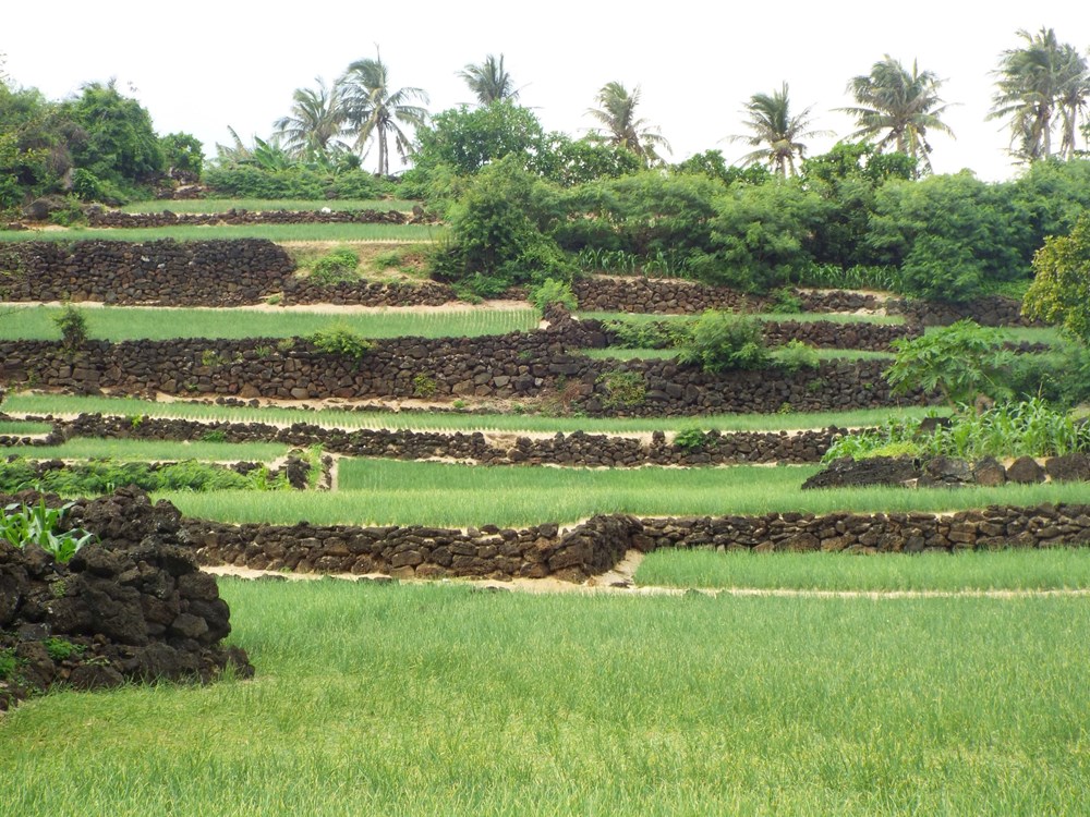 Đa dạng sản phẩm du lịch địa chất núi lửa ở Quảng Ngãi - ảnh 5