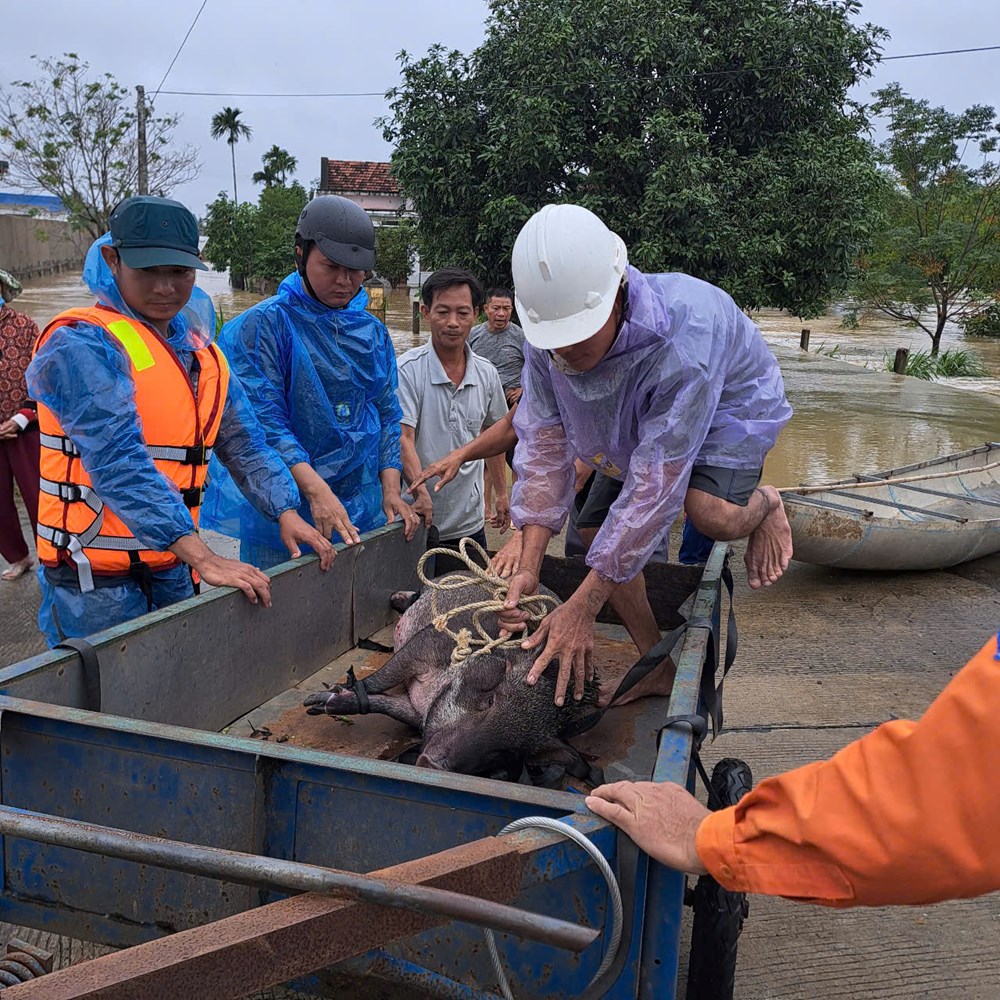 Nước lũ lên nhanh, tập trung sơ tán, di dời người dân đến nơi an toàn - ảnh 4