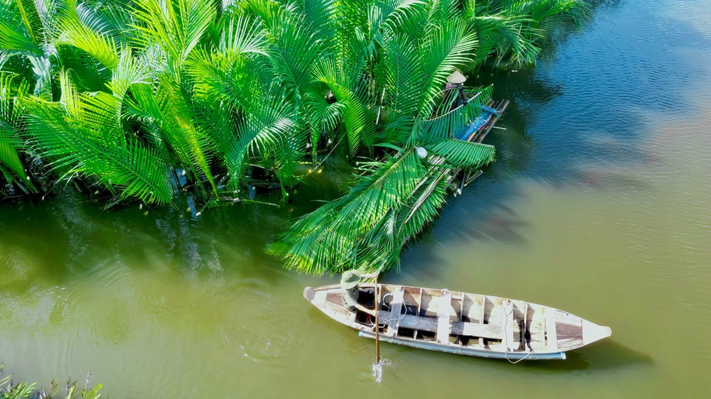 Xây dựng sản phẩm, chuyển giao mô hình du lịch cộng đồng rừng dừa nước Tịnh Khê và Bình Châu - ảnh 2