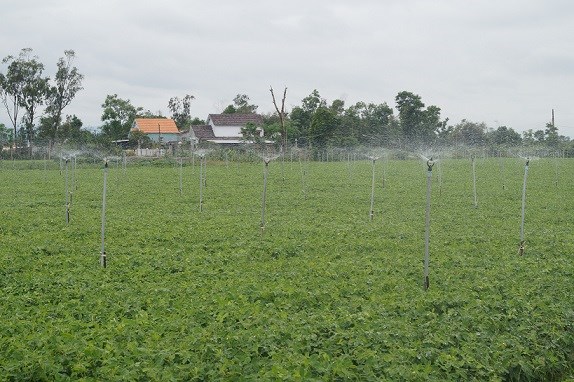 Quảng Ngãi đẩy mạnh chuyển đổi số trong nông nghiệp - ảnh 2