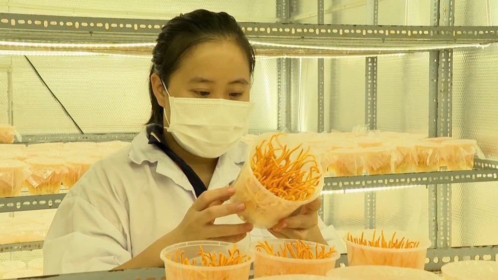 Truyền cảm hứng khởi nghiệp cho thanh niên miền núi Quảng Ngãi - ảnh 3