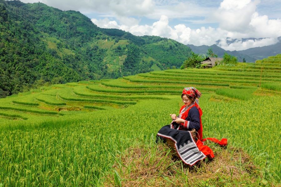 Mê mẩn cảnh sắc ruộng bậc thang Hoàng Su Phì - ảnh 3