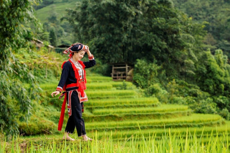 Mê mẩn cảnh sắc ruộng bậc thang Hoàng Su Phì - ảnh 4