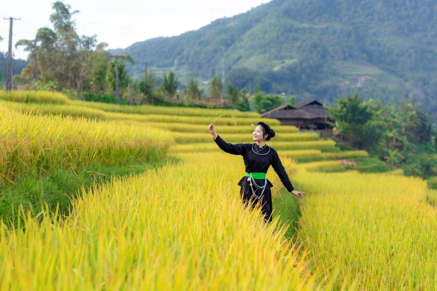 Mê mẩn cảnh sắc ruộng bậc thang Hoàng Su Phì - ảnh 6