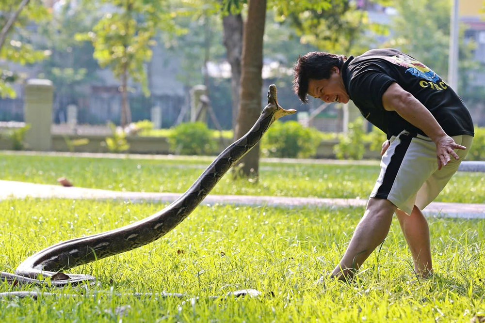 Đầu năm rắn nghe chuyện ông vua xiếc trăn - ảnh 5