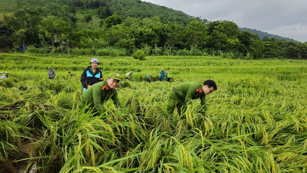 Xúc động hình ảnh chiến sĩ Công an giúp dân sau bão số 3 - ảnh 6