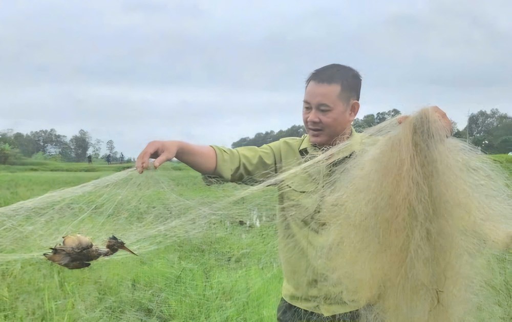 Tháo gỡ, tiêu huỷ hàng ngàn chim mồi giả, dụng cụ bẫy chim trời - ảnh 3