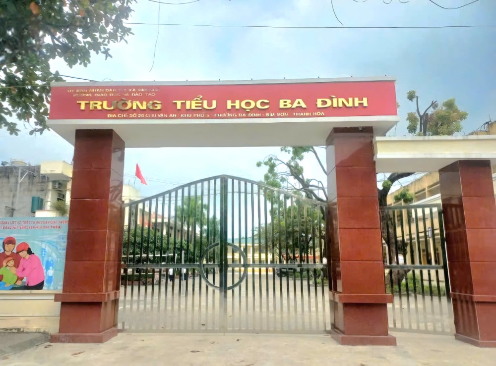 Tạm đình chỉ công tác cô giáo đánh học sinh tiểu học bầm tím cơ thể - ảnh 1