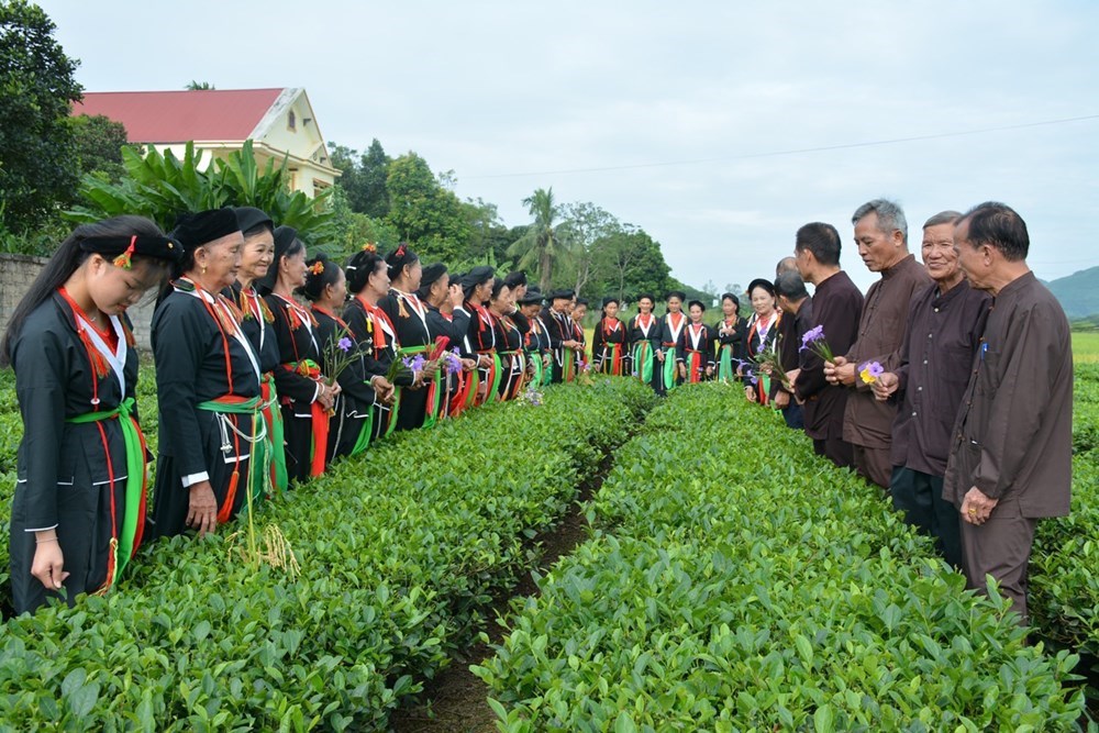 Phát động thi sáng tác ca khúc về đề tài dân tộc thiểu số, miền núi - ảnh 1