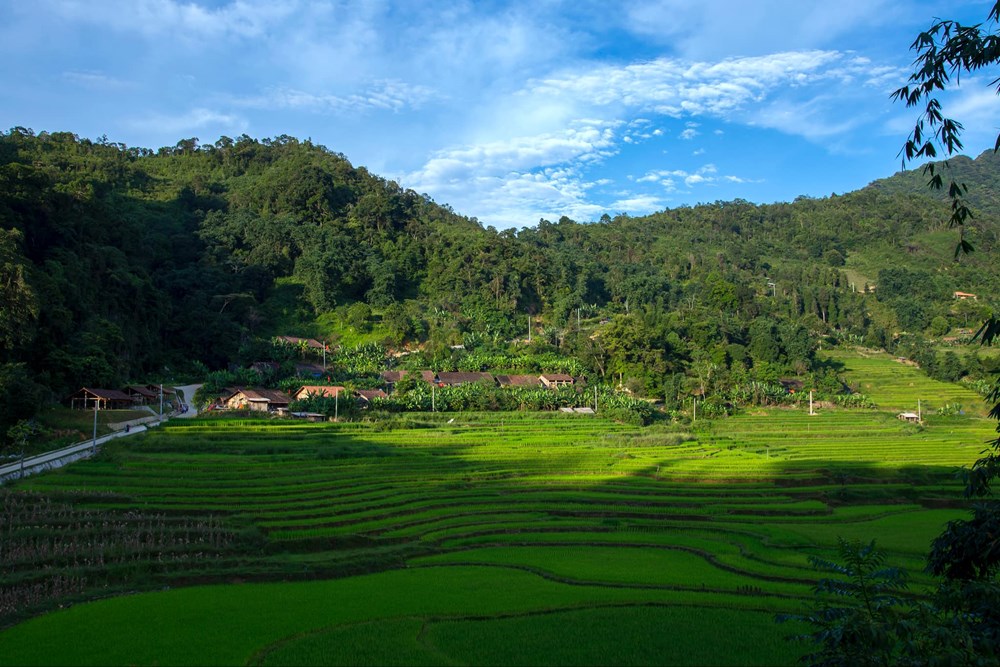 Về Cao Bằng trải nghiệm thu hoạch sáp ong khoái ở Hoài Khao - ảnh 1