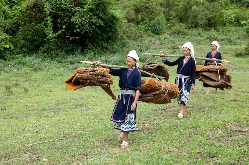 Về Cao Bằng trải nghiệm thu hoạch sáp ong khoái ở Hoài Khao - ảnh 4