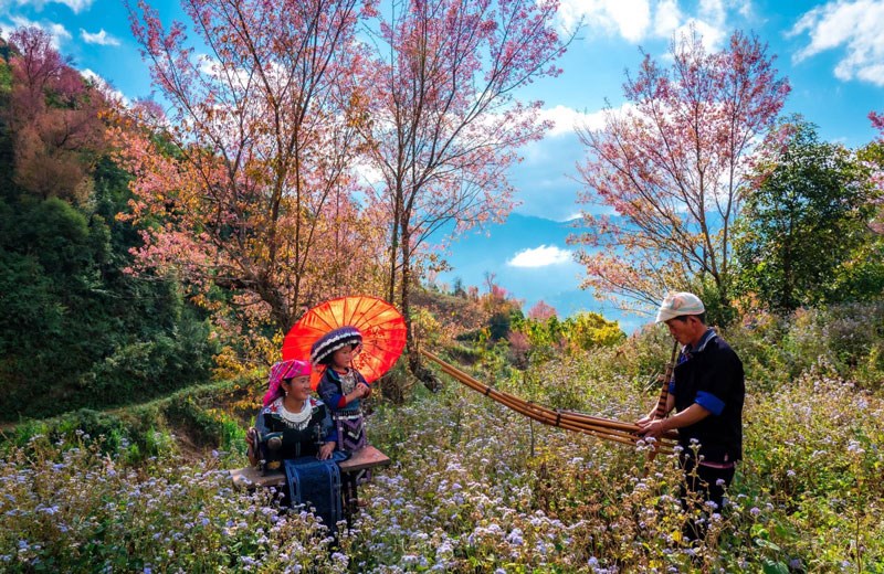 Sắp diễn ra Festival trình diễn khèn Mông và Lễ hội hoa Tớ dày  - ảnh 1