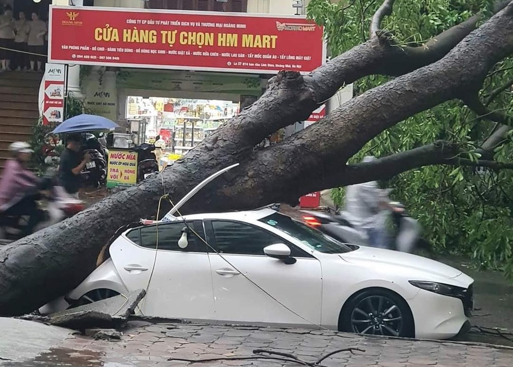 Mưa to gió lớn làm nhiều cây đổ, 1 người tử vong - ảnh 1