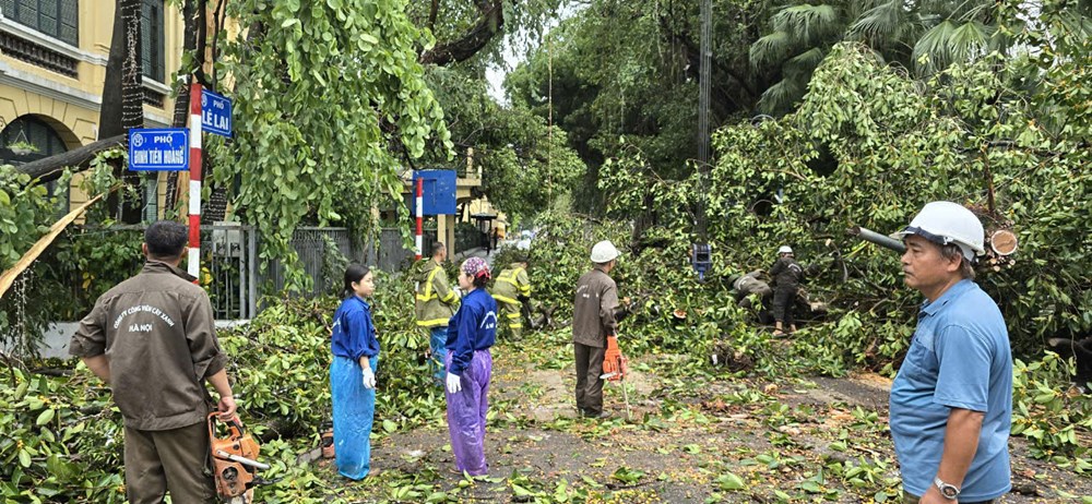 Khẩn trương khắc phục hậu quả bão số 3 - ảnh 1