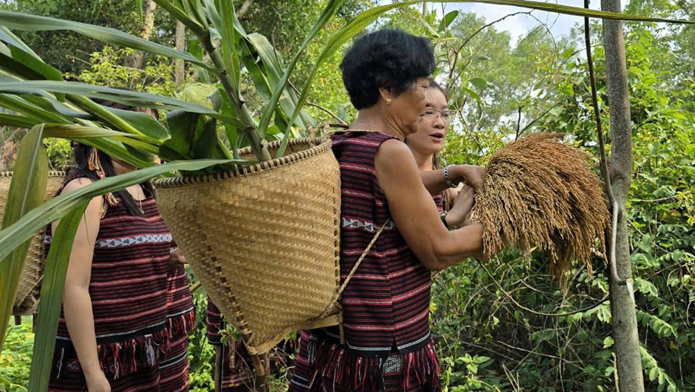 Sayangva - Lễ hội quan trọng và đặc sắc của người Chơ Ro - ảnh 2