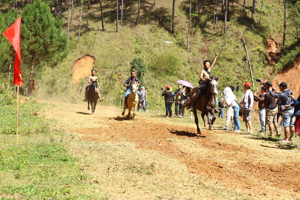 Sẽ tổ chức Ngày hội Cỏ hồng và giải đua ngựa không yên chào mừng Festival Hoa Đà Lạt - ảnh 4