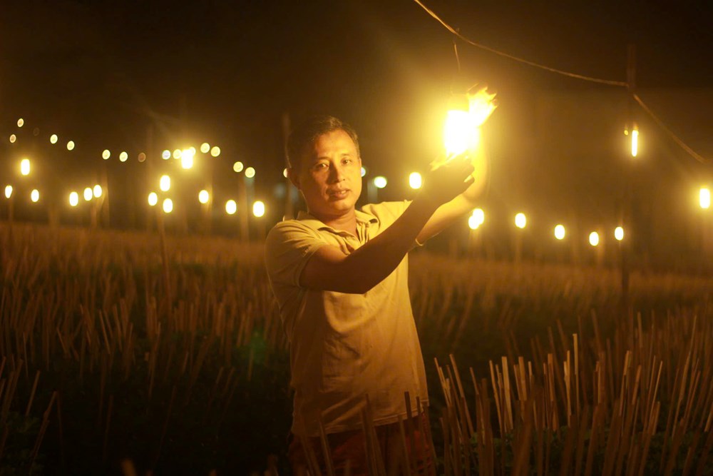 Gia Lai: Nông dân chong đèn trồng hoa đợi Tết - ảnh 4