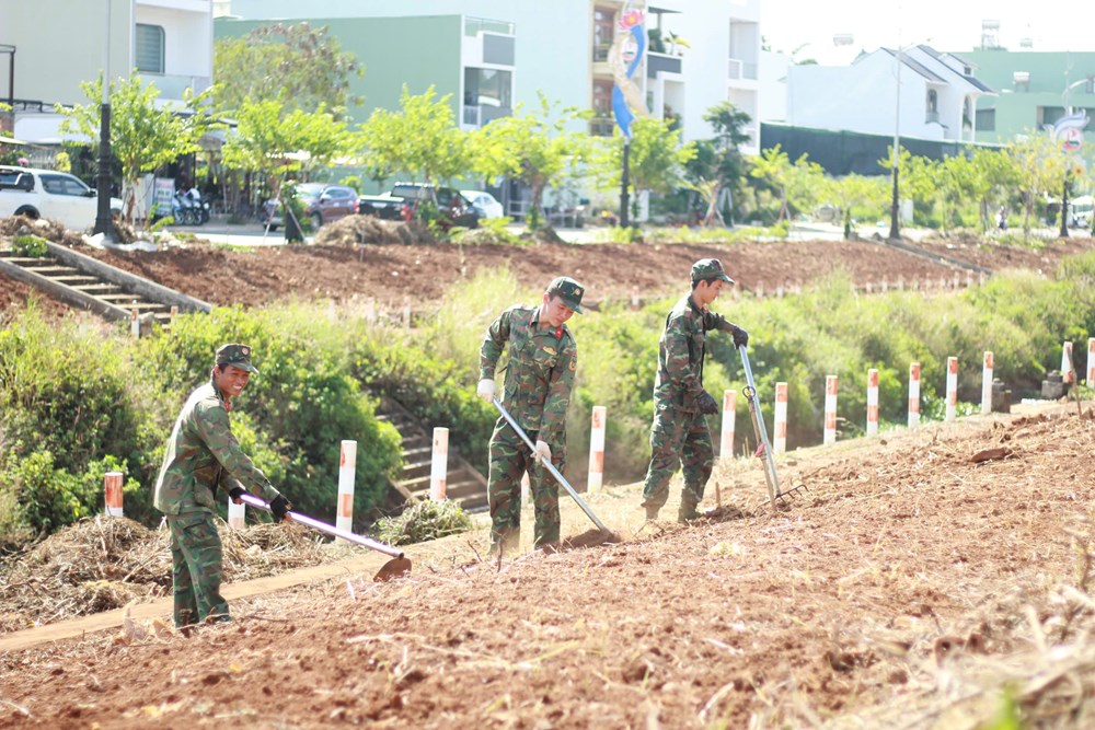 Gia Lai: Ra quân dọn vệ sinh môi trường đón Tết Nguyên đán Ất Tỵ 2025. - ảnh 3