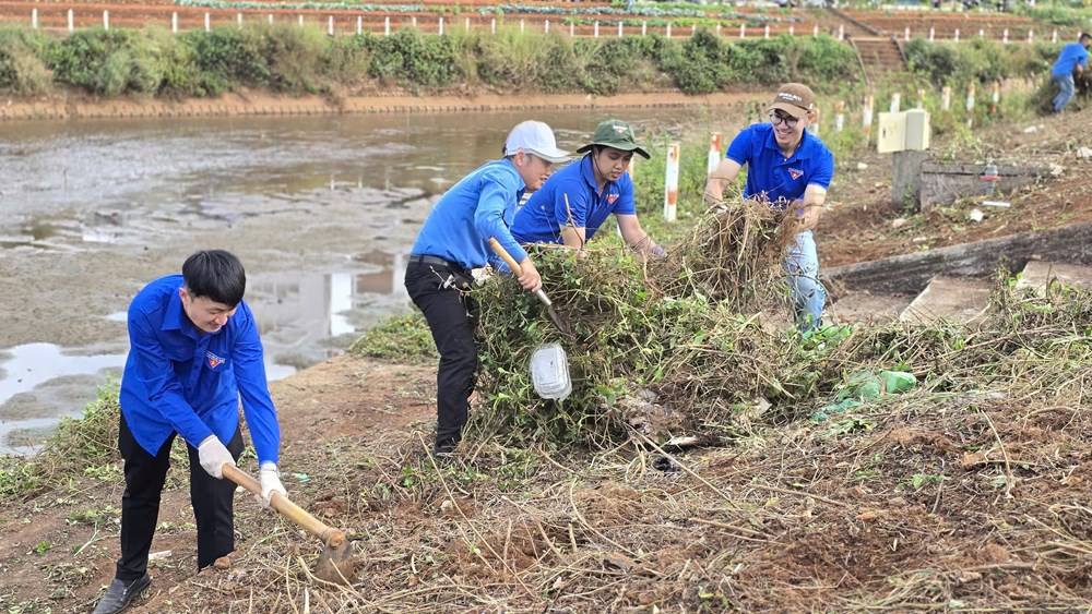 Gia Lai: Ra quân dọn vệ sinh môi trường đón Tết Nguyên đán Ất Tỵ 2025. - ảnh 1