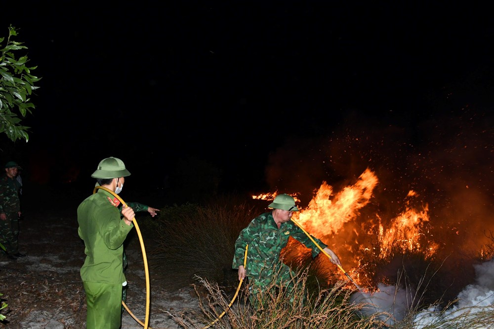 Vụ cháy rừng phòng hộ ven biển Hải Ninh đã được khống chế - ảnh 3