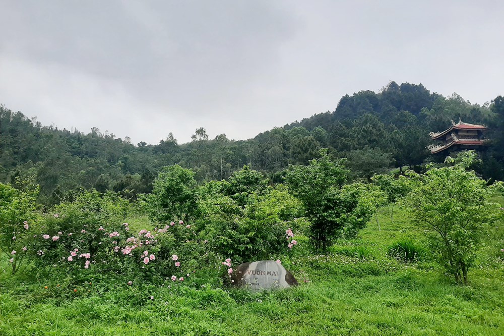 Phu nhân Đại tướng Võ Nguyên Giáp sẽ được an táng tại Vũng Chùa - Đảo Yến - ảnh 1