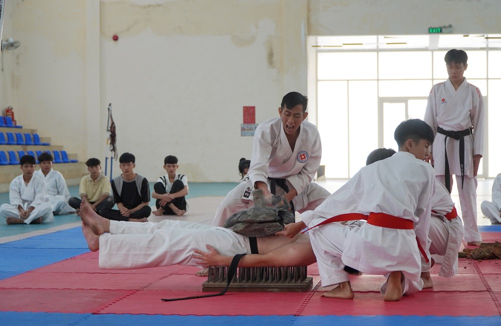 Phát triển Karate phong trào gắn với thể thao thành tích cao - ảnh 1