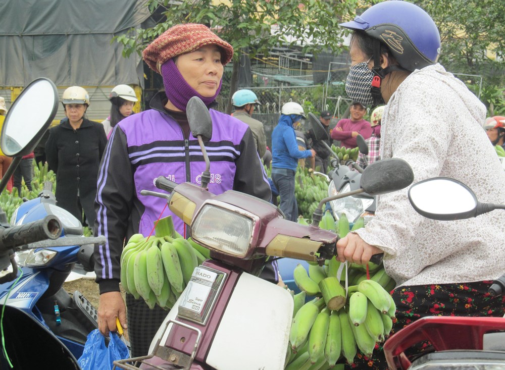 Nải chuối ngày Tết với ước vọng sum vầy… - ảnh 4