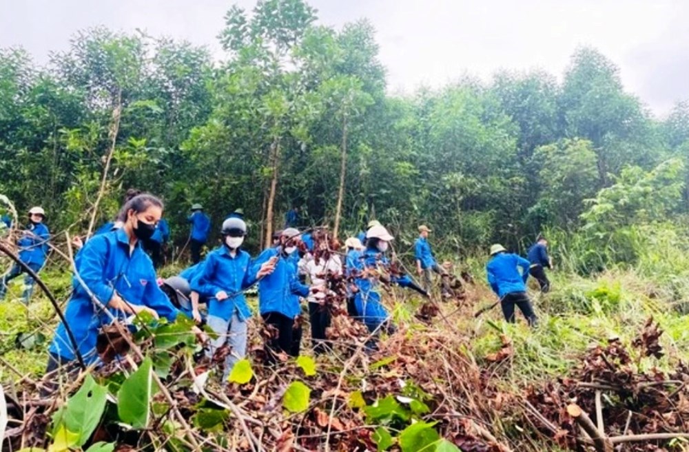 Gần 700 thanh niên Hà Tĩnh tham gia hỗ trợ thi công đường dây 500kV - ảnh 2