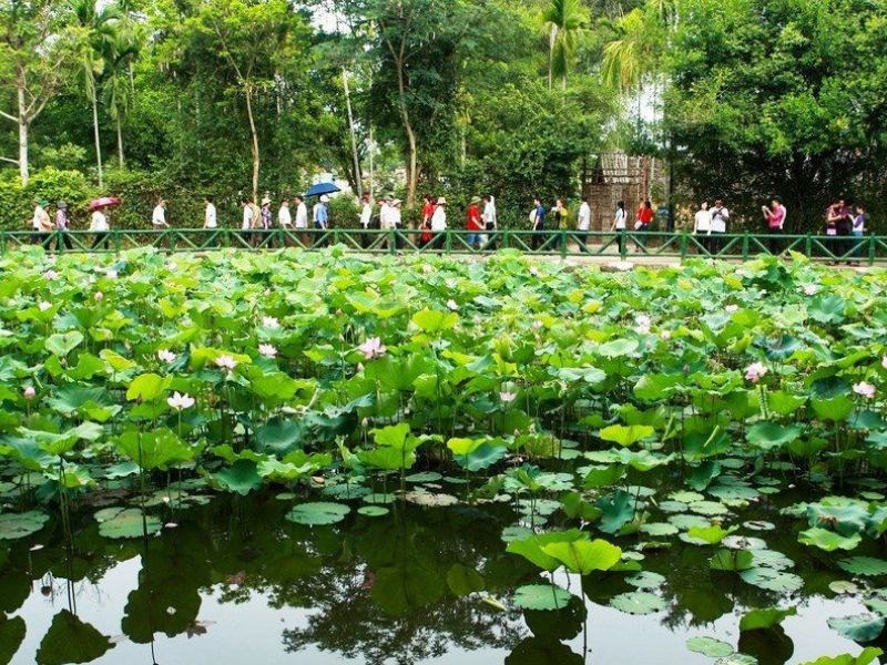 Triển lãm 