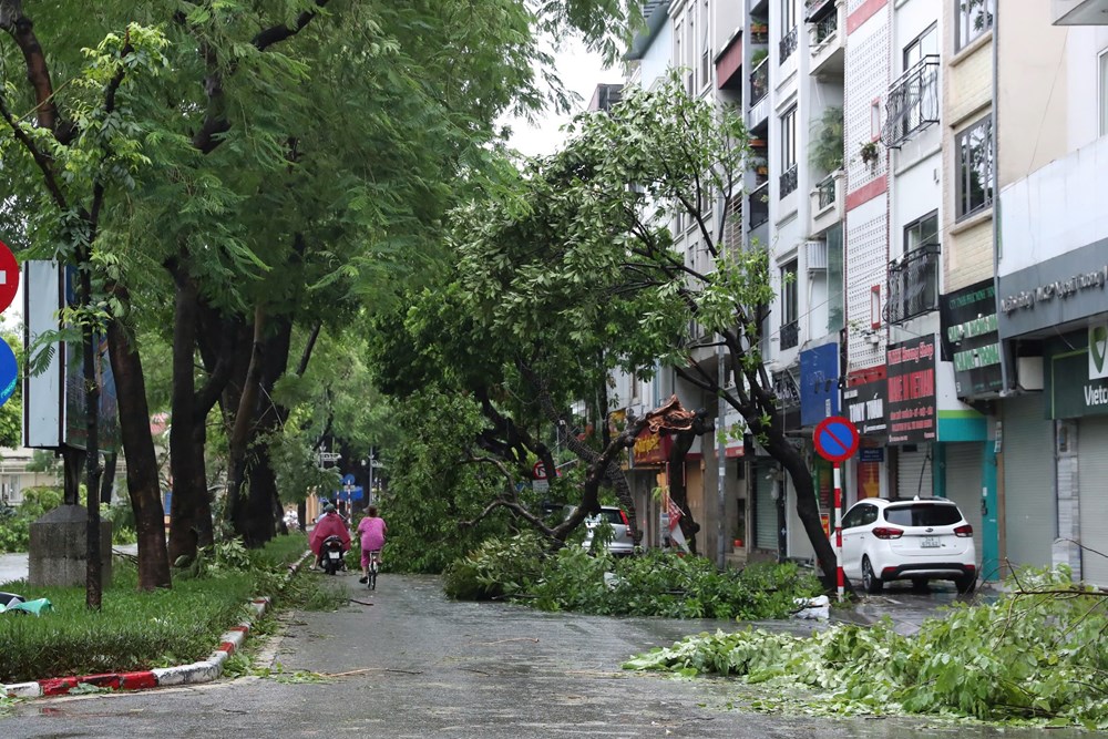 Phố phường Hà Nội tan hoang sau bão - ảnh 6