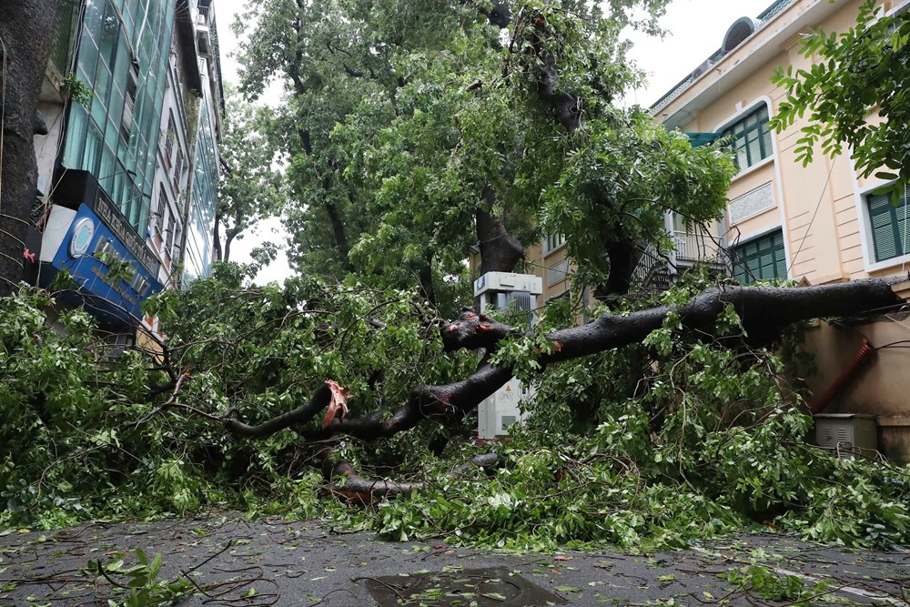 Phố phường Hà Nội tan hoang sau bão - ảnh 5