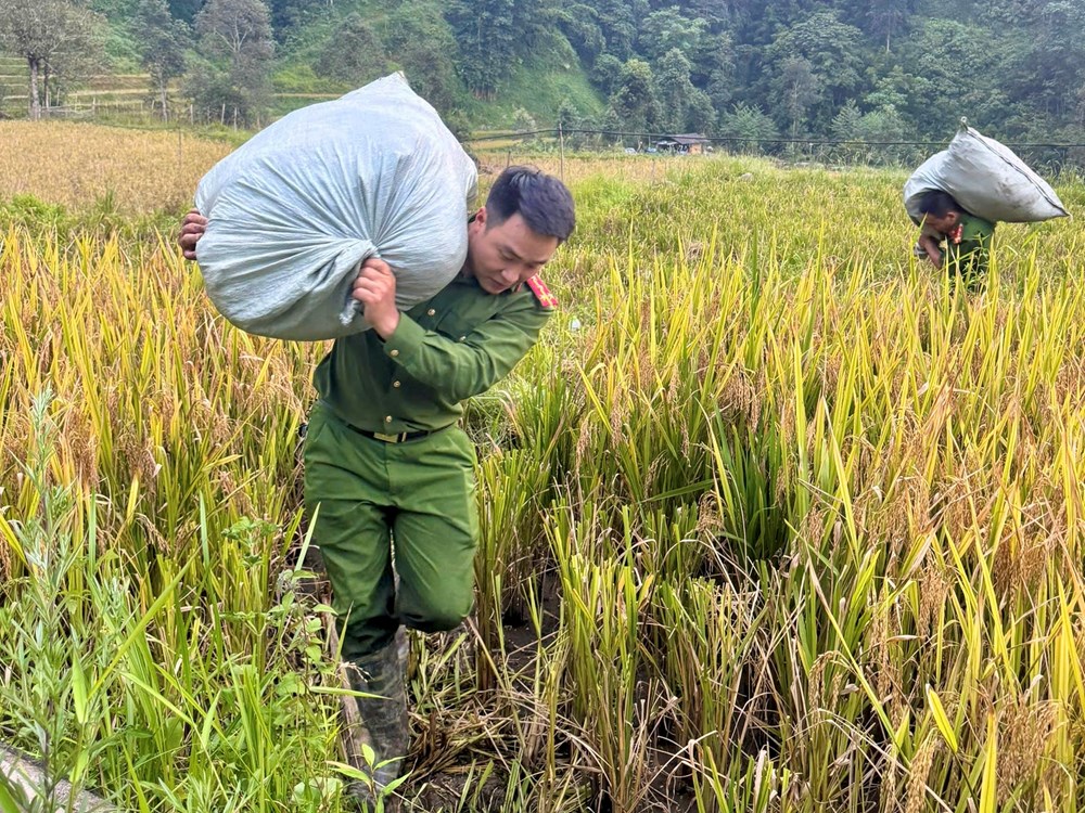 Thủ tướng chỉ đạo khẩn trương cung cấp lương thực, nhu yếu phẩm cho người dân bị ảnh hưởng bởi bão số 3 - ảnh 1