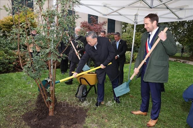 Tổng Bí thư, Chủ tịch nước Tô Lâm đặt hoa tại Tượng đài Bác Hồ ở thành phố Montreuil của Pháp - ảnh 5