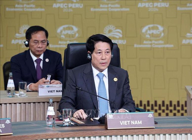 Chủ tịch nước Lương Cường tham dự Đối thoại giữa các Nhà Lãnh đạo APEC và các khách mời - ảnh 1