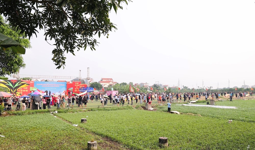 Tưng bừng lễ hội truyền thống thi thả diều làng Bá Dương Nội - ảnh 1